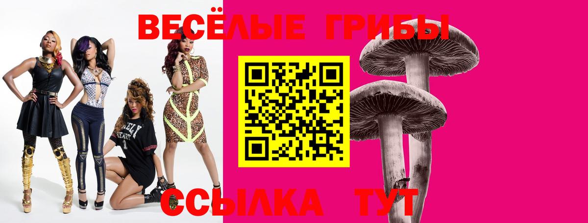 Волгоград  Галлюциногенные грибы мицелий  Вход с VPN 